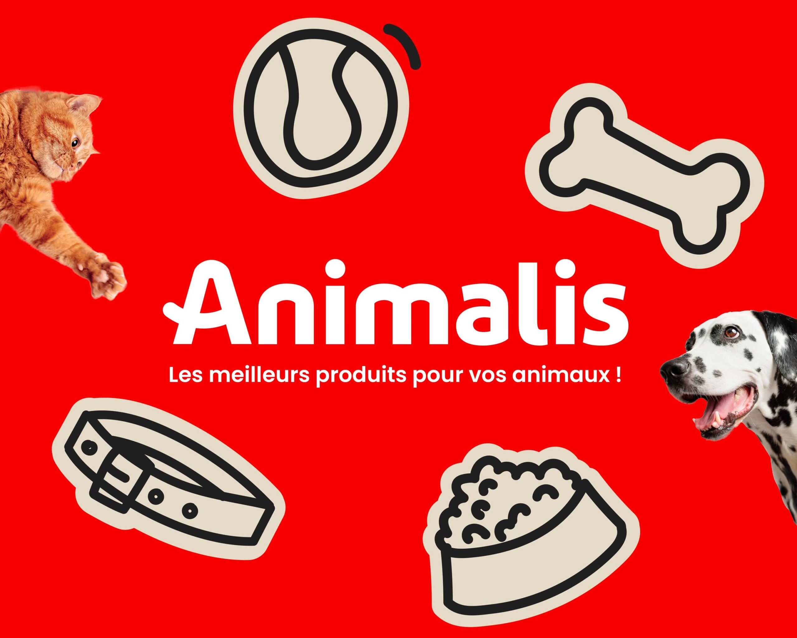 5283d81c664b43c5f57a3a186d273063