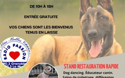 La journée du Chien